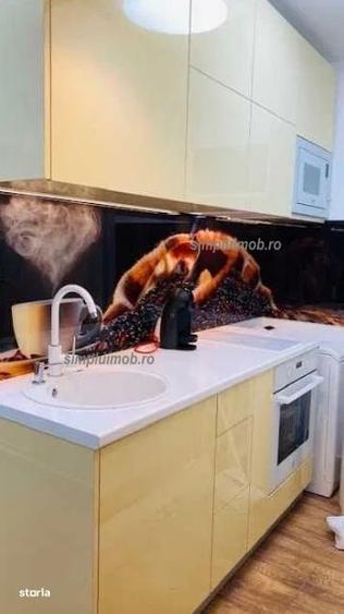 Garsonieră în Costin Georgian