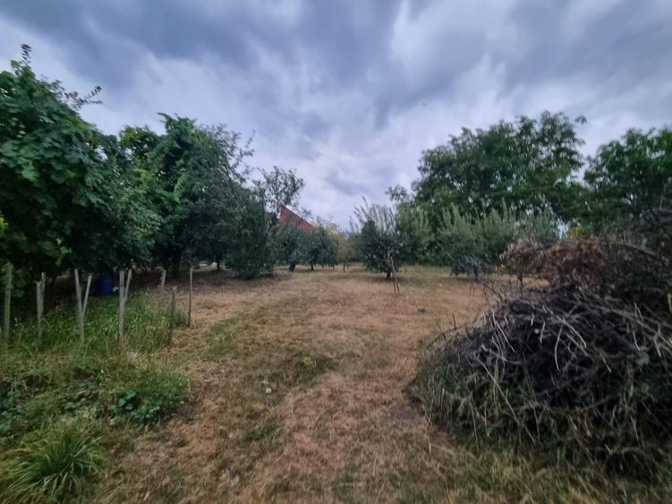 Teren Construcții de 1668 mp, în Cetate