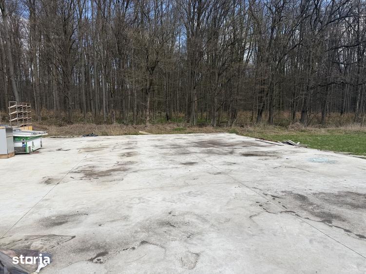 Teren de 9850 mp, în Mitocu Dragomirnei