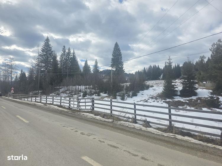 Teren de 15000 mp, în Șaru Dornei