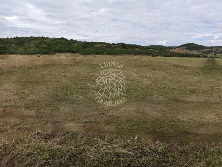 Teren Construcții intravilan de 5000 mp, în Livezile