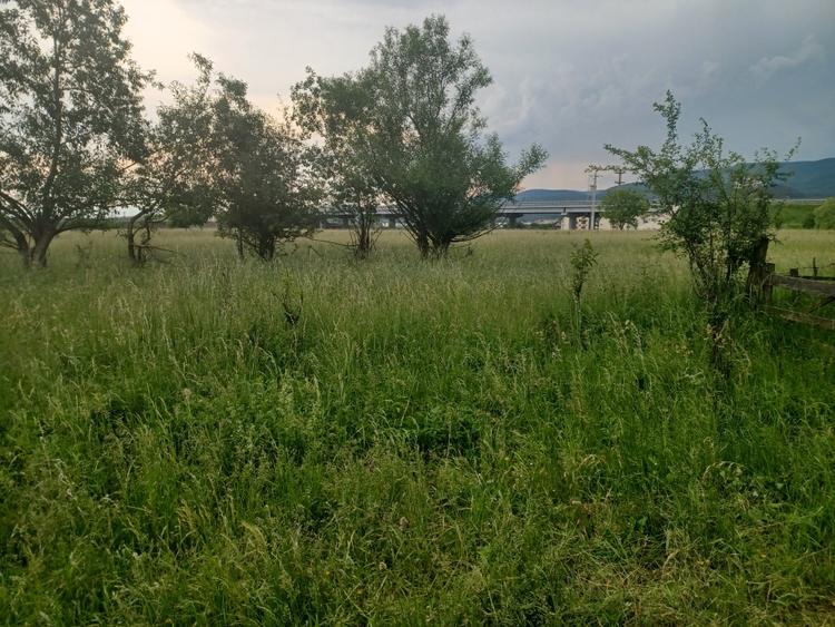 Teren Construcții intravilan de 10500 mp, în Exterior Nord
