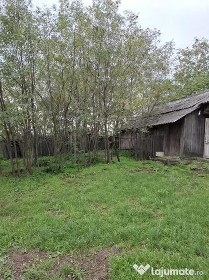 Casa si teren in sat Prisecani, com Boghesti - 4