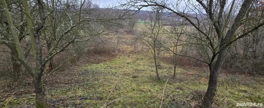 Casă cu Teren 6330 Mp în Poienari