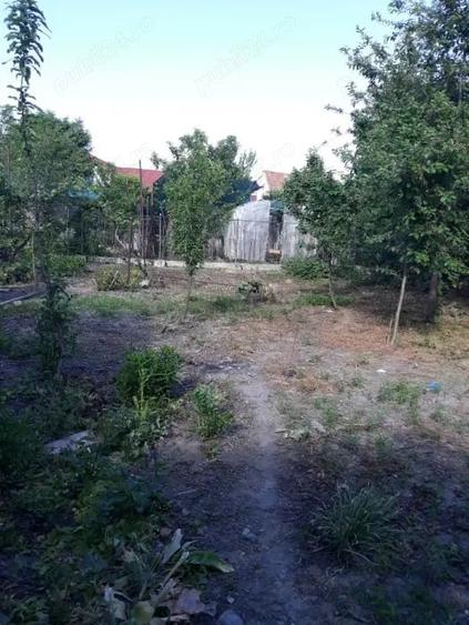 Casă cu 3 camere în Central