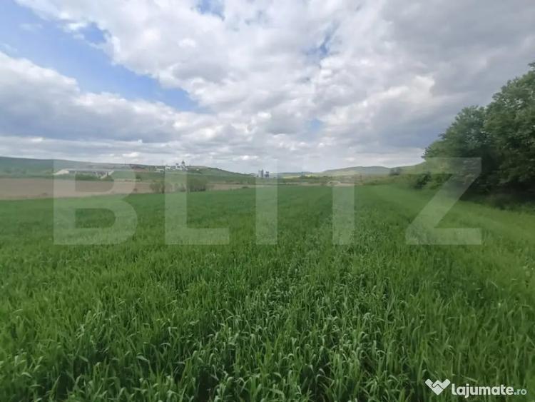 Teren de 52600 mp, în Unirea