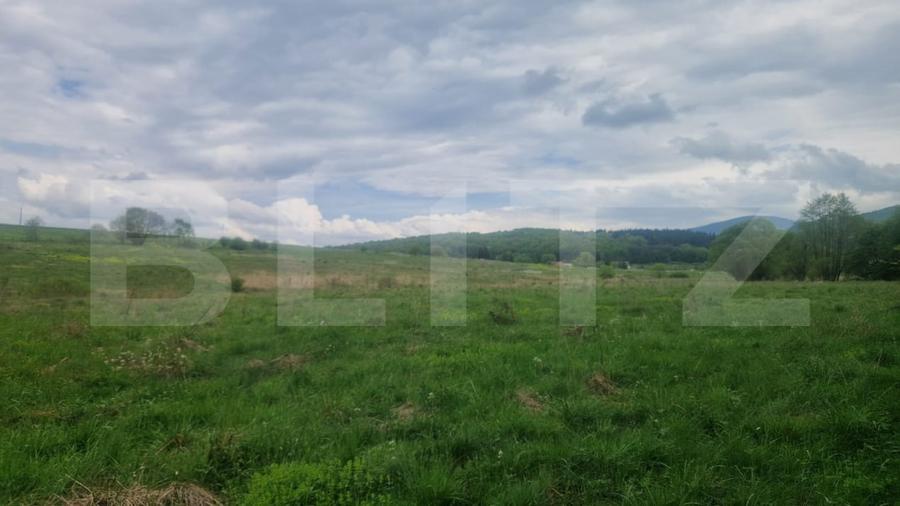 Teren Construcții intravilan de 680 mp, în Dumbrăvița