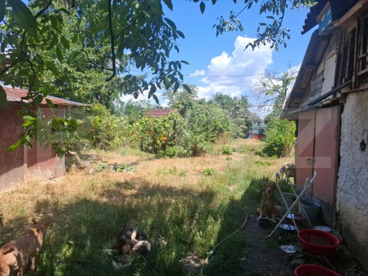 Casă cu 5 camere cu Teren 2100 Mp în Costești