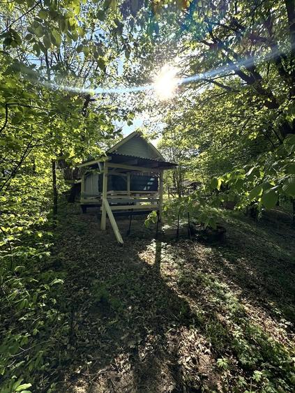 Cabana Casuta din lemn cu ponton privat lac Mujdeni - 4
