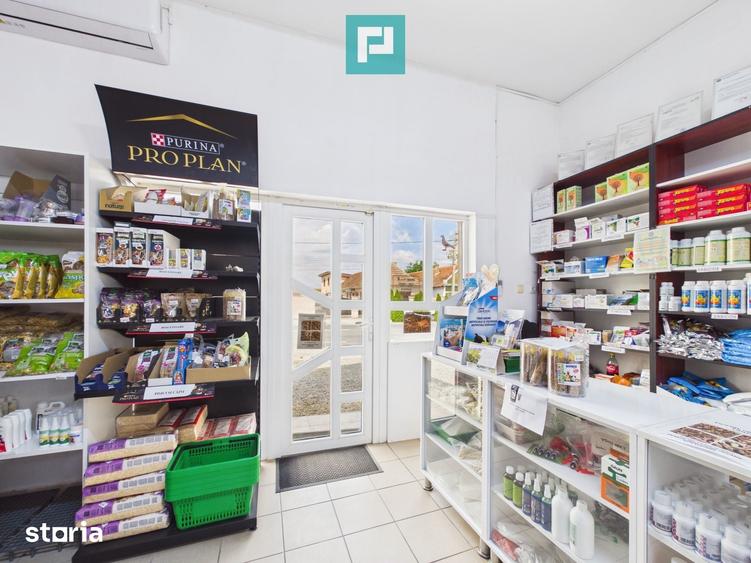 Casă cu 9 camere cu Teren 1579 Mp în Tămășeu