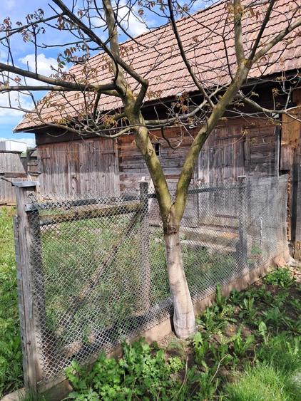 Casă cu 3 camere semidecomandat în Iara
