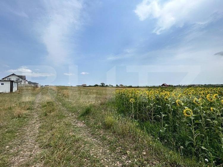 Teren Construcții intravilan de 3080 mp, în Moara