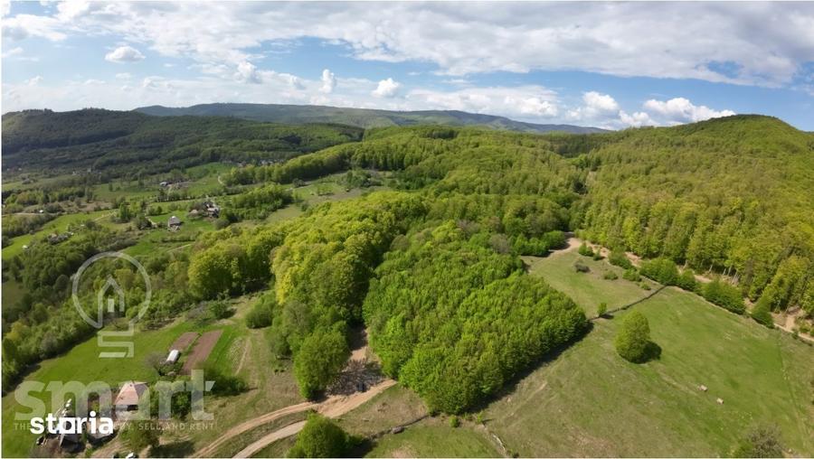 Teren de 13700 mp, în Central