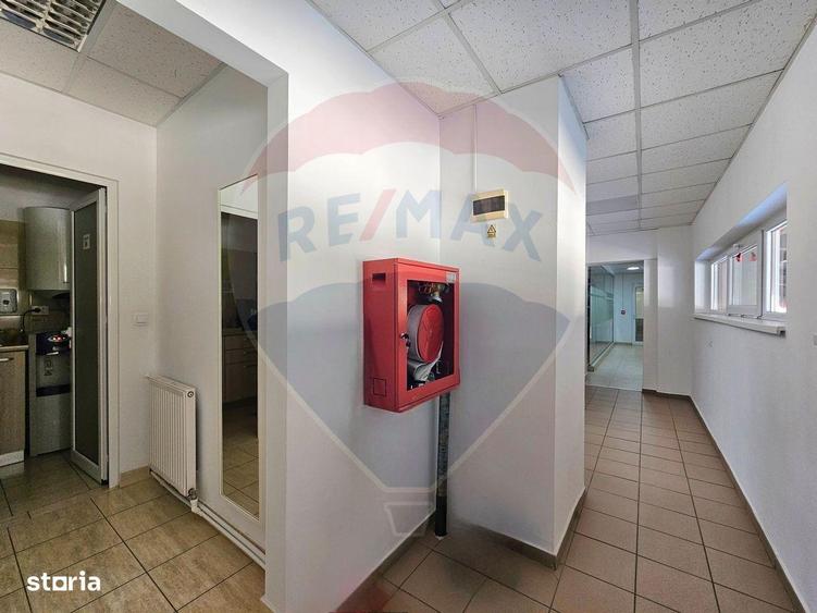 Hale Industriale 5065 mp de vanzare Str. Bradului - Bacau - 17