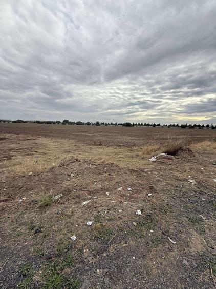 Teren de 10000 mp, în Nord