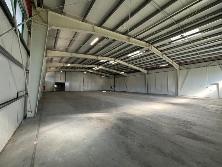 Spațiu comercial, de 2,000 mp, în Șagului