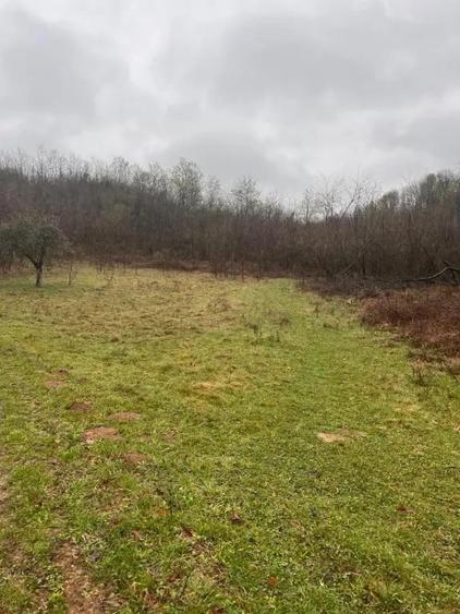Teren de 2900 mp, în Sintești