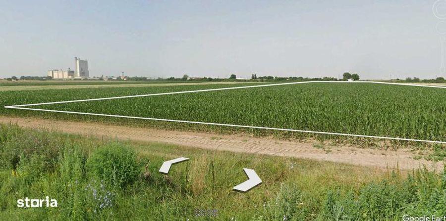 Teren de 20250 mp, în Pădureni