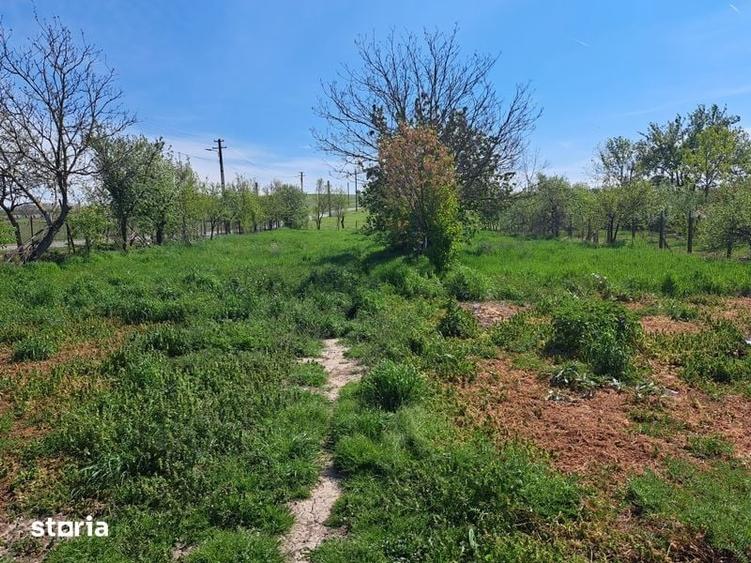 Casă cu 4 camere cu Teren 2400 Mp în Balinț