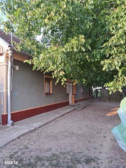Casă cu 3 camere cu Teren 2700 Mp în Cenaloș