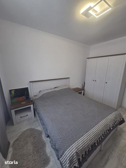 Apartament decomandat de inchiriat Ilie Petre 40| 500 /luna - 19