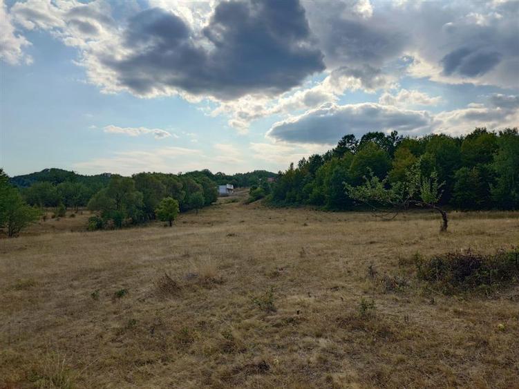 Teren agricol extravilan de 9059 mp, în Exterior Est