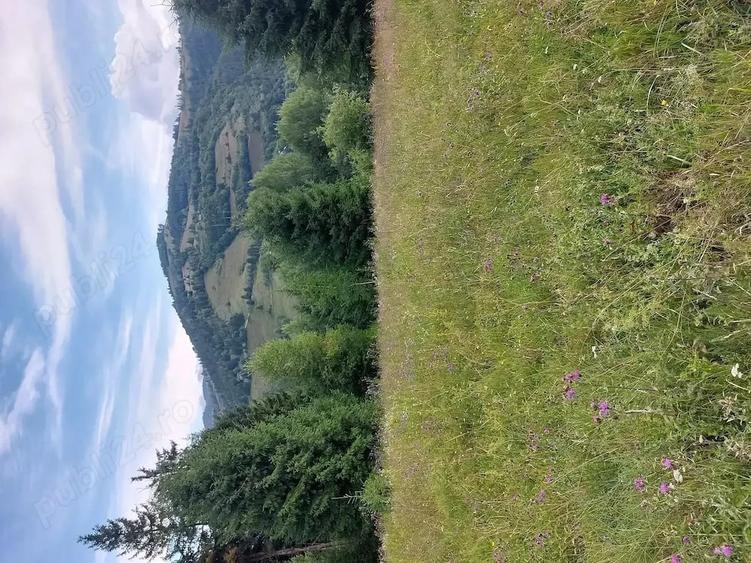 Teren de 5000 mp, în Vadu Moților