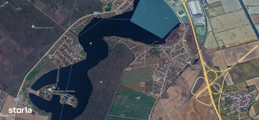 Cernica teren intravilan 24.000 mp, langa padure - 3