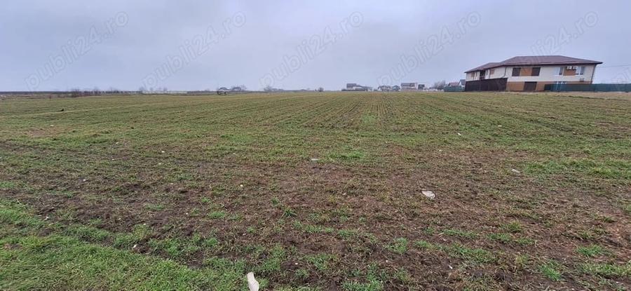 Teren de 600 mp, în Berceni