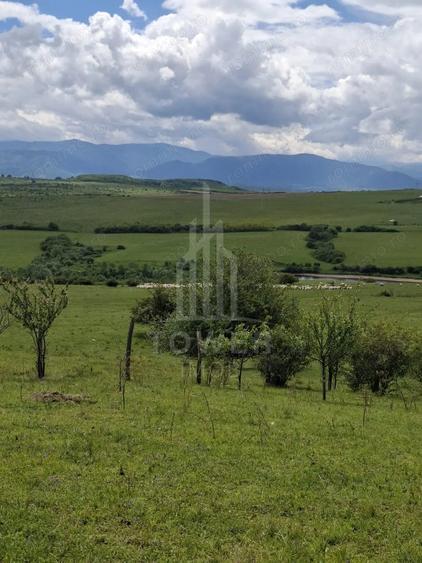 Teren de 11500 mp, în Daia