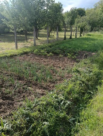 Casă cu 2 camere în Săvârșin