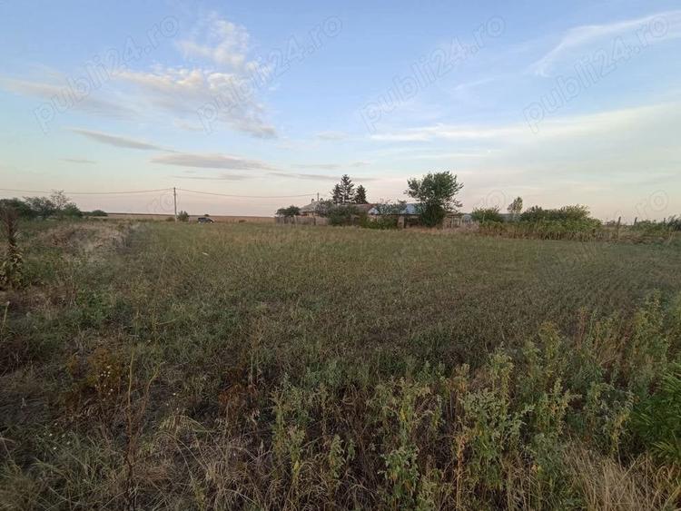 Teren de 2500 mp, în Copaciu