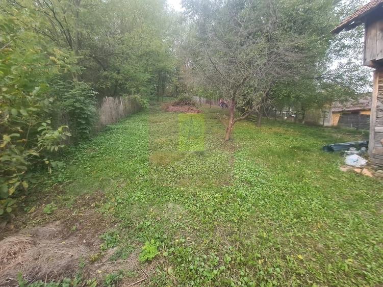 Casă cu 3 camere cu Teren 3410 Mp în Aluniș