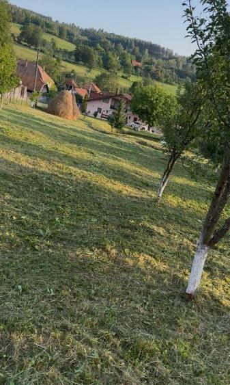 Teren de 1000 mp, în Petros