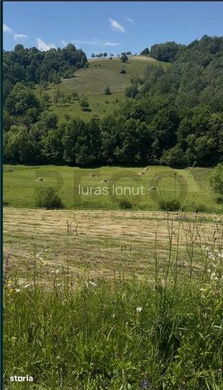 RECO, teren intravilan, loc superb de cabana, Calatea-Bihor