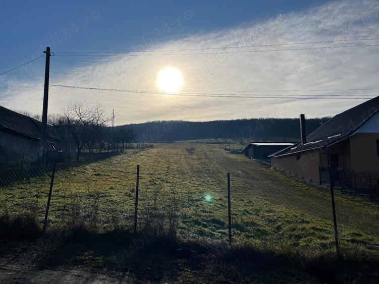 Teren în Ortelec
