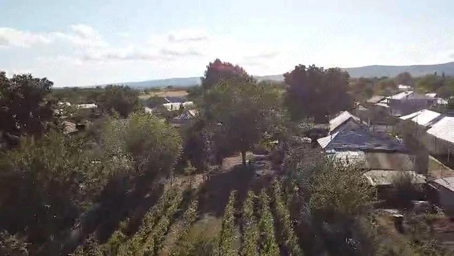 Casă cu 4 camere cu Teren 6000 Mp în Țifești