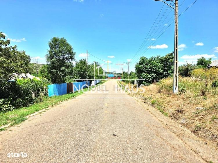 Spațiu comercial, în Vișinari