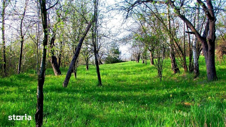 Teren de 14000 mp, în Mihai Viteazu