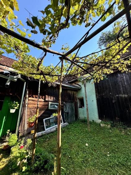 Casă cu 3 camere în Gura Râului