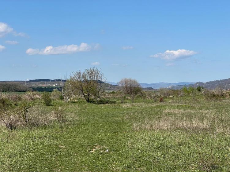 Teren intravilan Iazu Magurele Prahova - 2