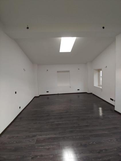 Spațiu comercial, de 300 mp, în Dacia