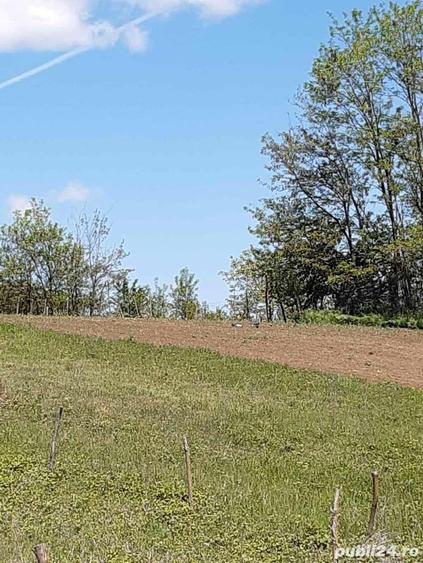 Teren de 2621 mp, în Petrăchioaia