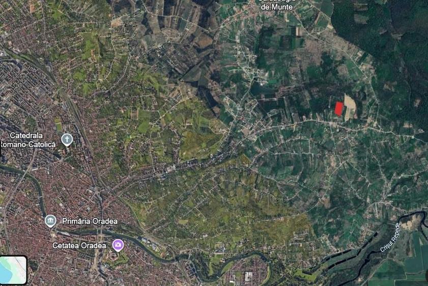Spațiu comercial, în Săldăbagiu de Munte