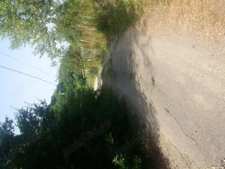 Teren de 1900 mp, în Fedeleșoiu