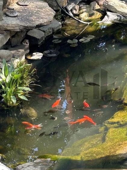 Casă individuală cu 7 camere cu Canalizare în Elisabetin
