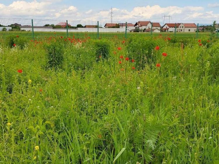 Teren Construcții intravilan de 837 mp, în Stupini