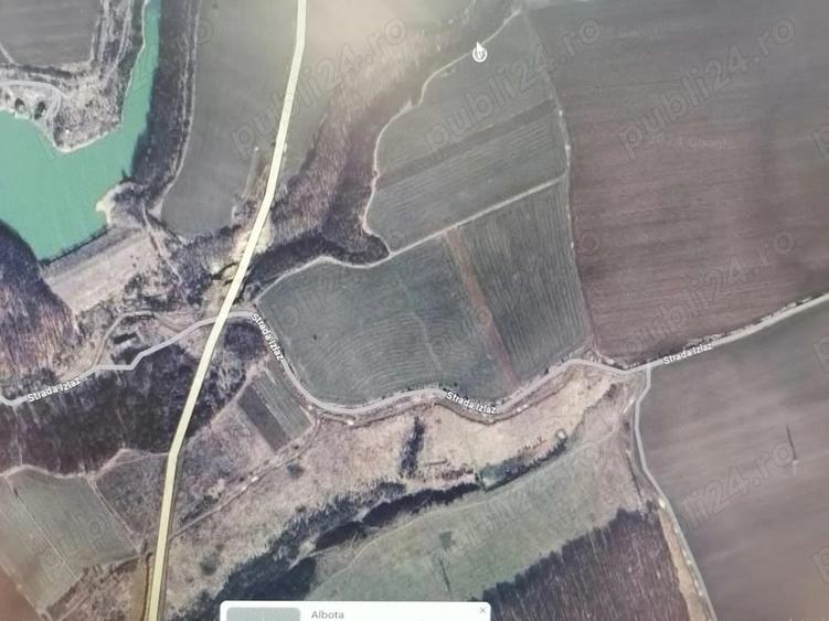 Teren în Albota