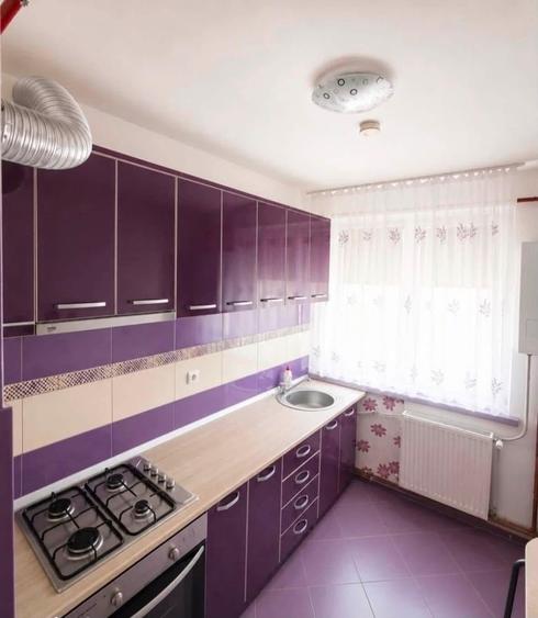 Apartament 2 camere semidecomandate Calea Severinului-Gradina Botanica - 4