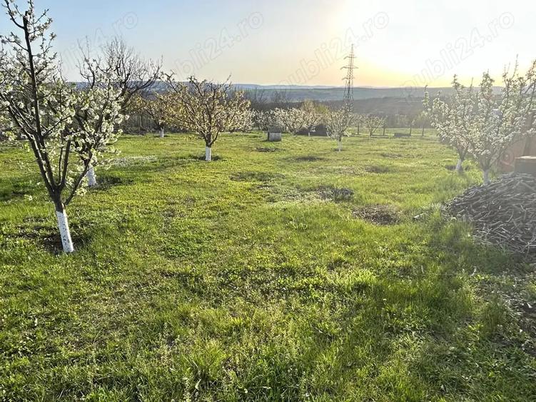Teren intravilan 2000 mp Zona Dimitrie Cantemir toate utilitatile - 4